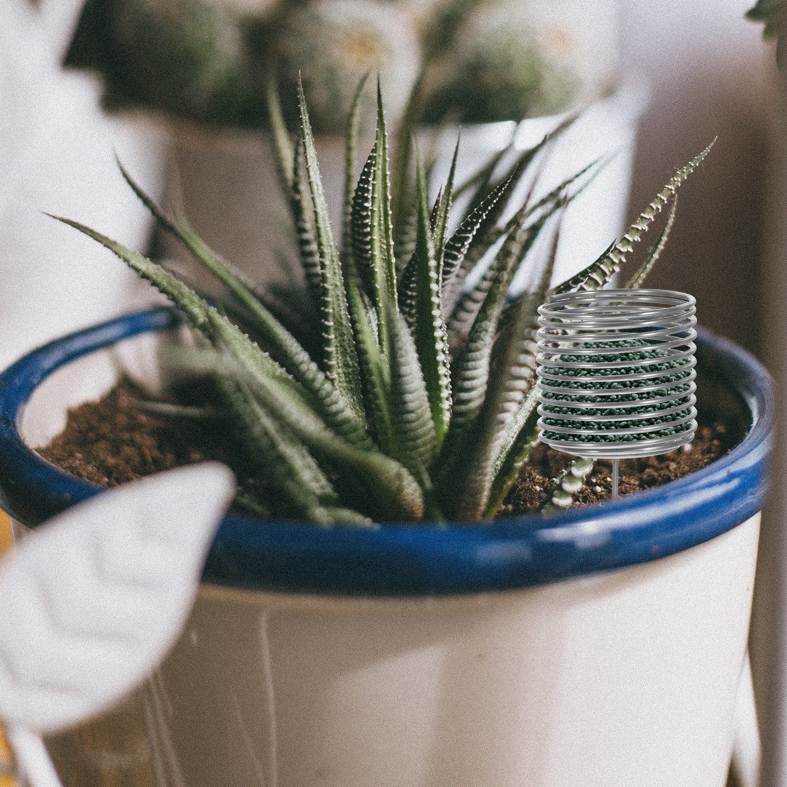 Us Bonsai Garden - 10Pcs Stainless Steel Fertilizer Baskets for