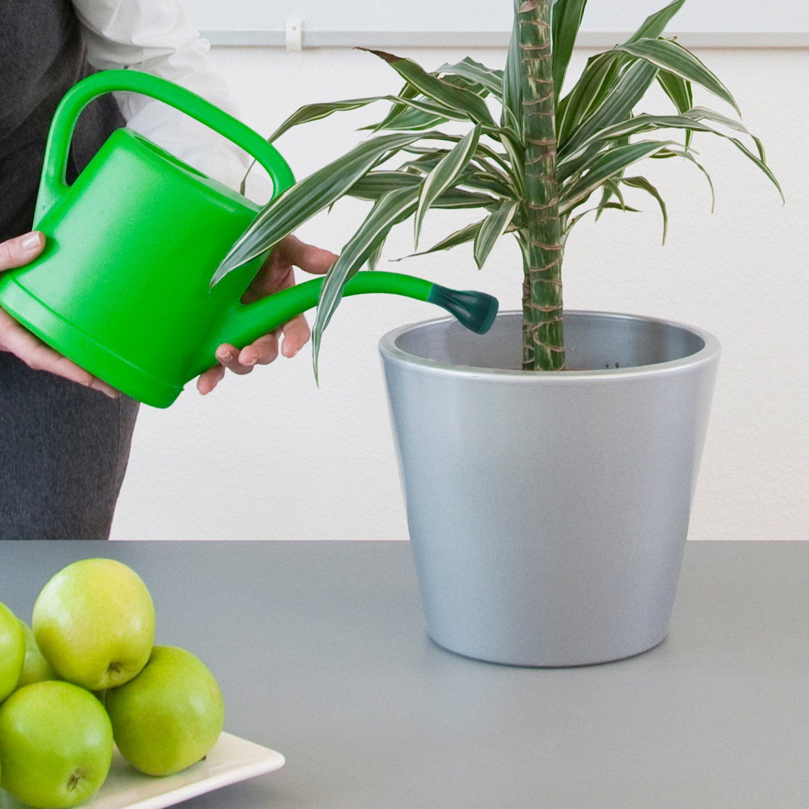 Water Can Sprinkler Head Compa - огляд і ціна Us Bonsai Garden
