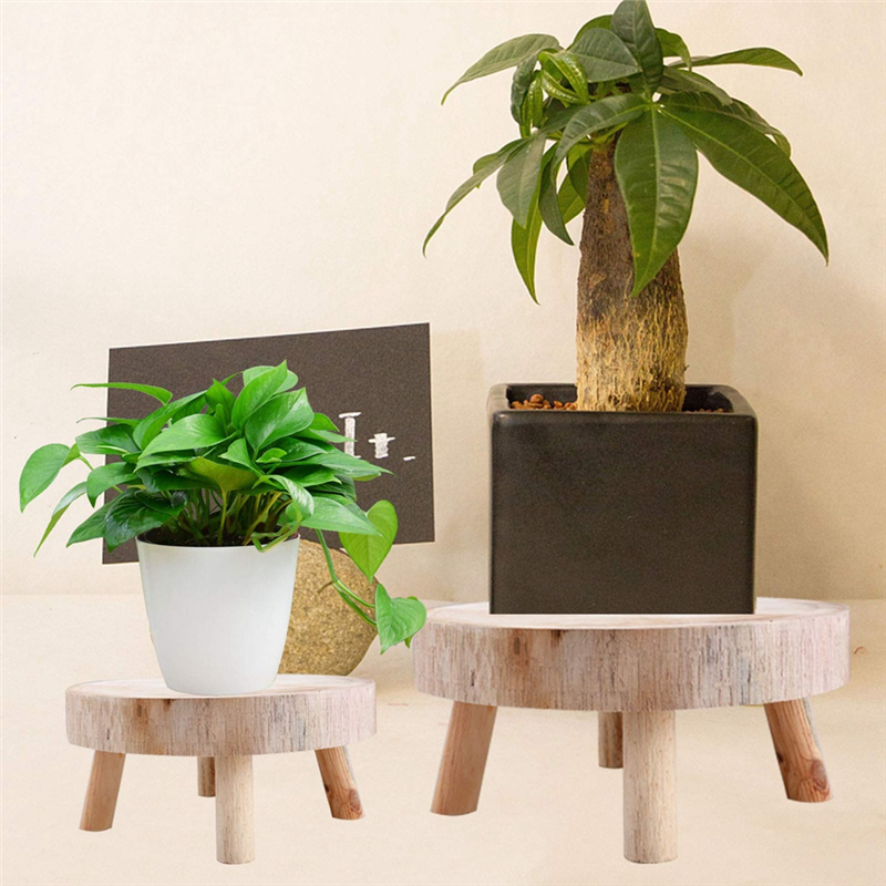 FBIL-Mini Wooden Stool Display - огляд і ціна Up Bonsai Garden