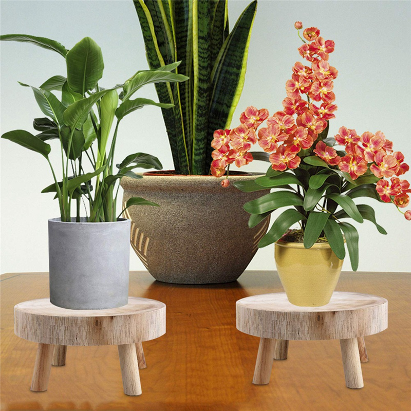 FBIL-Mini Wooden Stool Display - огляд і ціна Up Bonsai Garden
