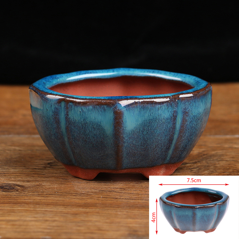 1pcs Bonsai Mini Ceramic Flowe - огляд і ціна Bonsai Garden Chinese Garden
