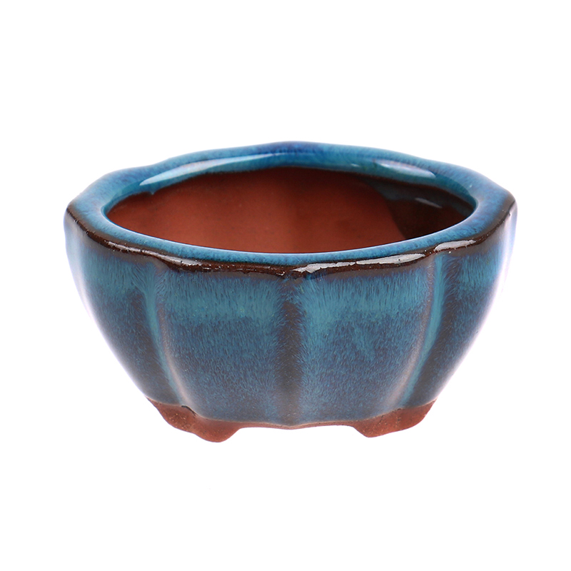 1pcs Bonsai Mini Ceramic Flowe - огляд і ціна Bonsai Garden Chinese Garden