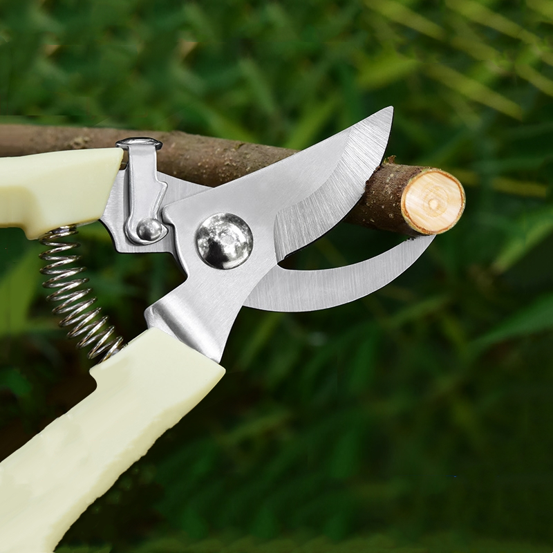Pruner Orchard and The Garden  - огляд і ціна Us Bonsai Garden