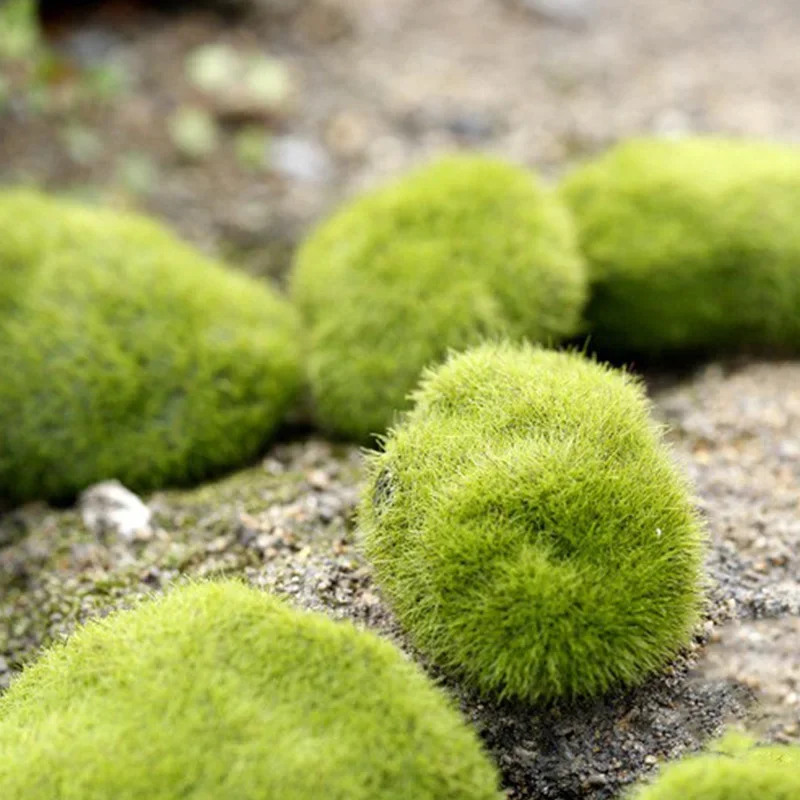Fake Stone Artificial Moss Roc - огляд і ціна Bonsai Rock Garden