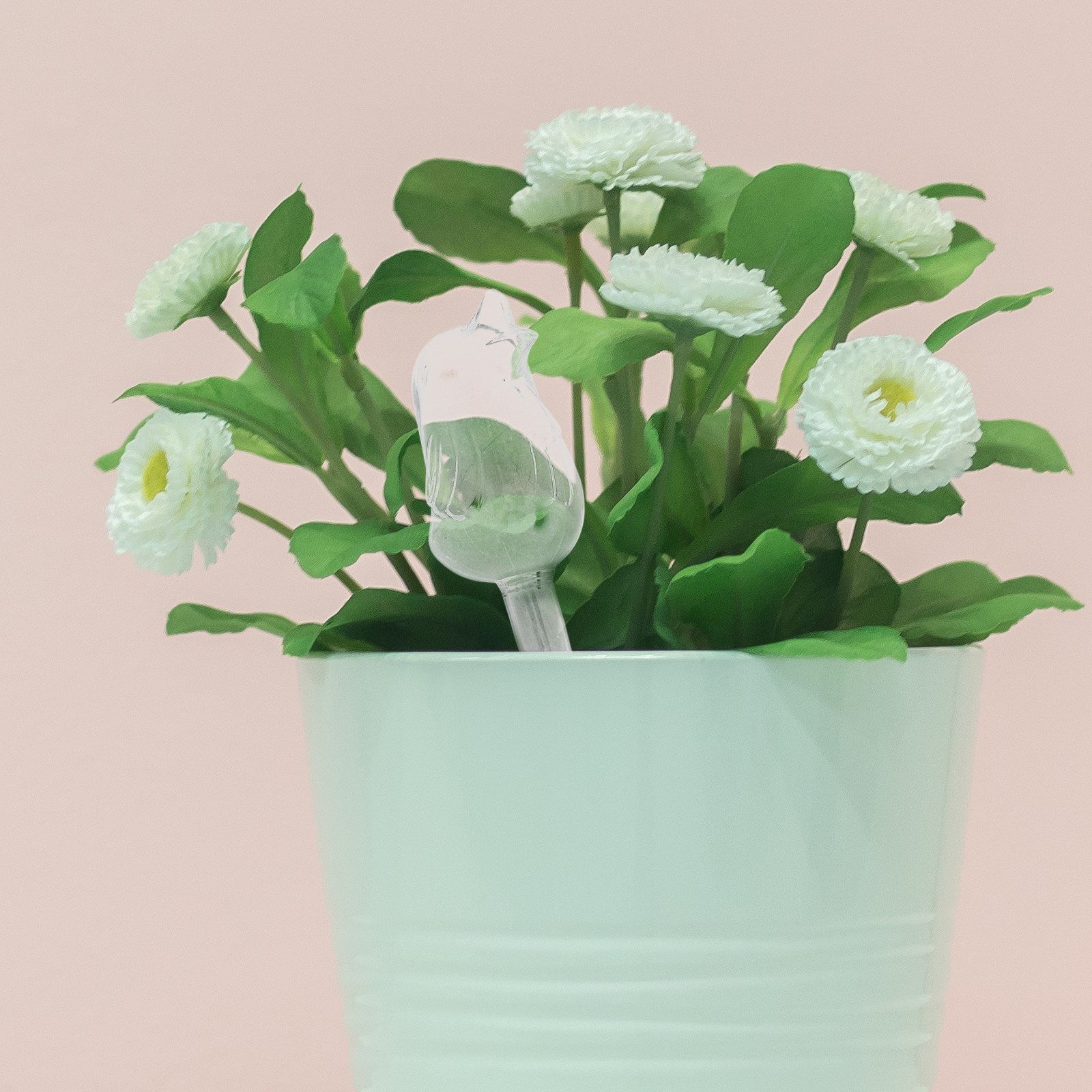 Glass Self-Watering Globes Aut - огляд і ціна Us Bonsai Garden