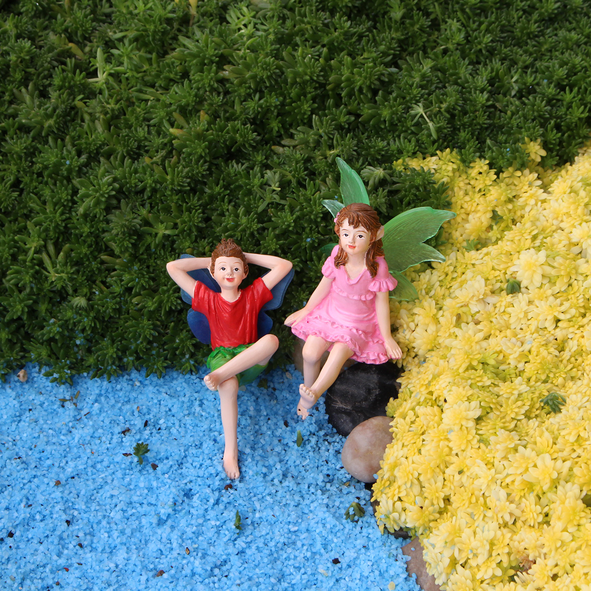 2pcs Couples Looking Up at the - огляд і ціна Up Bonsai Garden