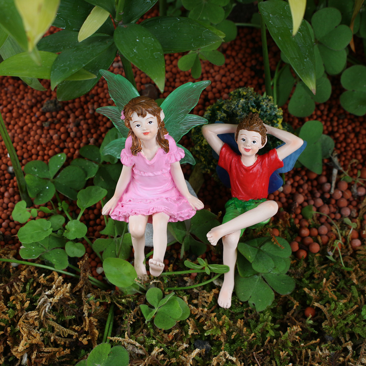 2pcs Couples Looking Up at the - огляд і ціна Up Bonsai Garden
